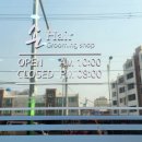 마술손헤어