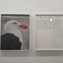 팩토리2 헤적프레스 &lt;Wild goose chase 헛수고&gt;