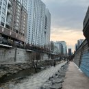 청계분식 | [을지로 맛집/맛집 리뷰] 청계세운상가 '이멜다분식' 내돈내산 솔직후기! 오므라이스&amp;떡볶이 찐맛집...