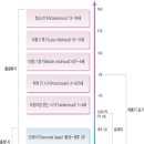 동성구슬방 | 발달영역의 이해 및 아동기의 분류