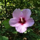 강남 참 행정사사무소 이미지