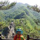 장미관문 이미지