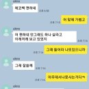 도하메드 이미지