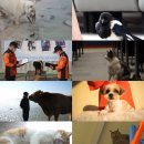 지축농장 이미지