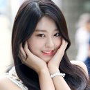 쩡글 이미지