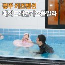 드래곤풀빌라2