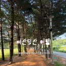 덕산 산딸나무길 | [예산덕산 여행] 메타세쿼이아길 &amp; 온천 황톳길 맨발걷기 코스 &amp; 꿀팁👣🌿