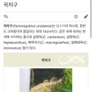 세븐일레븐 강릉연곡점 | [강릉] 재방문 100% 현지인맛집 연곡꾹저구탕 내돈내산 솔직후기