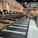 에버휘트니스 이미지