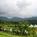 월남파병용사 만남의 장 이미지