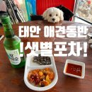 별천지야영장 | 태안 애견동반 식당 _ 샛별별천지포차 왕추천!!!