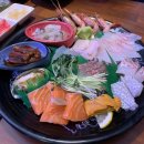 숙성회백야