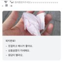 은인마켓