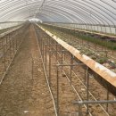 노티농장 이미지