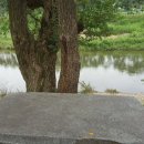 동원식당 맞은편 이미지