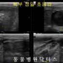 닥터스종합동물병원 이미지