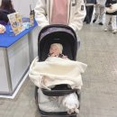 (주)에이블 | [아빠] 에이블카독 탑승 후기