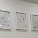 미드미(MIDMI)