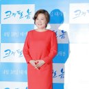 김해숙 카카오 검색결과