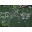 행복스토리