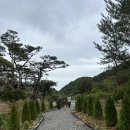 띠아망 | 김포신상대형카페 포토존이있는 카페옥순 주말후기