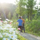 의료법인 명일의료재단 이미지