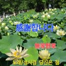 부용수지 이미지