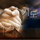 창대목장 이미지