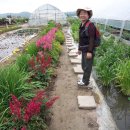 찬우물약수터 이미지