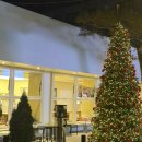 양재시민의숲 역 1번 출구 | 양재천 카페 엘빙 할루카 | 생딸기 케이크 맛집 &amp; 양재시민의숲 디저트 핫플