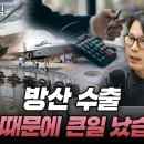 방산 수출 이것 때문에 큰일 났습니다 (언더스탠딩 김상훈 기자) 이미지