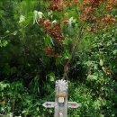 둘레길관광농원 이미지