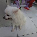 마비정길 이미지