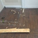 쮸니짱 펫살롱 이미지