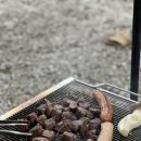 포레스트 캠핑장 이미지