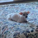 [백석비대면]노래로 배우는 영어 뮤지컬 | 연기 수업📝✨ / 연극 보도지침📜