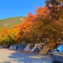 밀양캠핑장 이미지