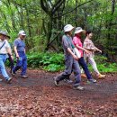 동백동산 이미지