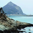 바닷가 숲속 이미지