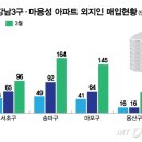 강남-243 이미지