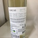 디오씨코리아 이미지