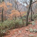 서봉1구 | 송광사에서 선암사로 이어지는 선 산길 산행 20230115