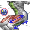 피티(PT)텐션 이미지