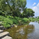 농업회사법인(주)효성사료 이미지