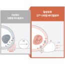 임산부 바디필로우 추천｜일상유희 나비형 바디필로우 내돈내산 후기