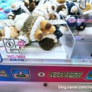 오렌지뽑기방 이미지