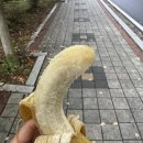 갓바위 | 팔공산 갓바위 경산코스 등산 후기