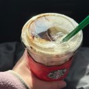 멍멍이를 부탁해 | ‘25 11월 일상 • 세번째 주 : 휴가 전야