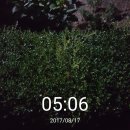 [카톡] 6시/집 밖에서 찍은 사진/기상인증/이모티콘 벌칙 스터디 이미지