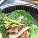 여수 식객 이미지